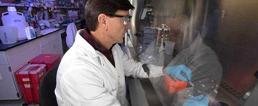 Dr. Jonathan Rayner working in lab.