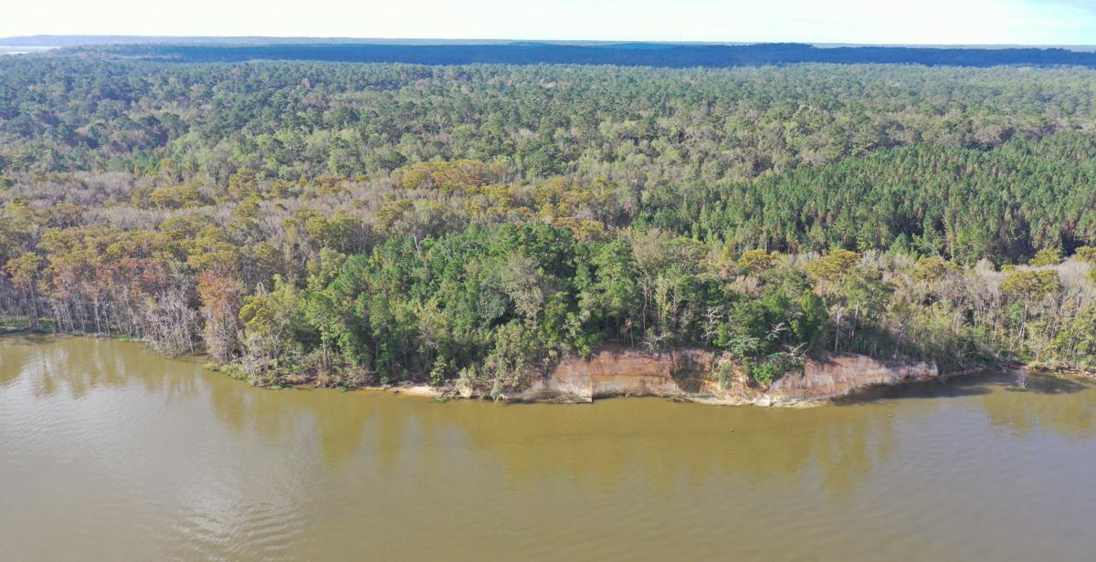The University of South Alabama holds the easement to 60 acres adjacent to Historic Blakeley State Park along the Tensaw River. The property, in addition to more than 30,000 acres throughout rural Alabama and Mississippi, can be used by South faculty for research and teaching. 