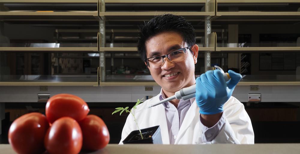 Dr. 老爷Tran, 十大玩彩信誉平台生物学助理教授, 被判了40美元,美国农业部和阿拉巴马州农业和工业部提供了1万美元的资金，用于研究一种土壤细菌，这种细菌会导致番茄等作物枯萎, 辣椒和土豆. 