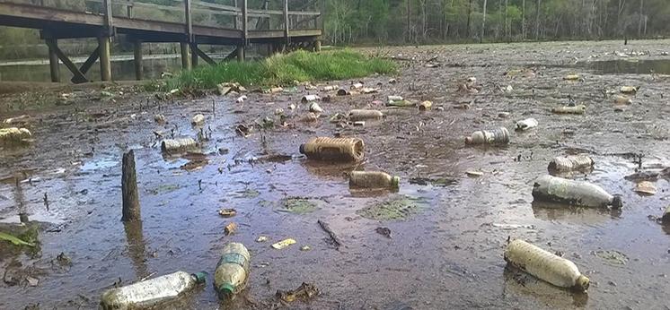 plastic bottles floating in muddy water